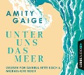 Cover-Bild zum Titel 'Unter uns das Meer' von 'Amity Gaige'