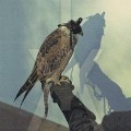 Cover-Bild zum Titel 'You're Nothing' von 'Iceage'