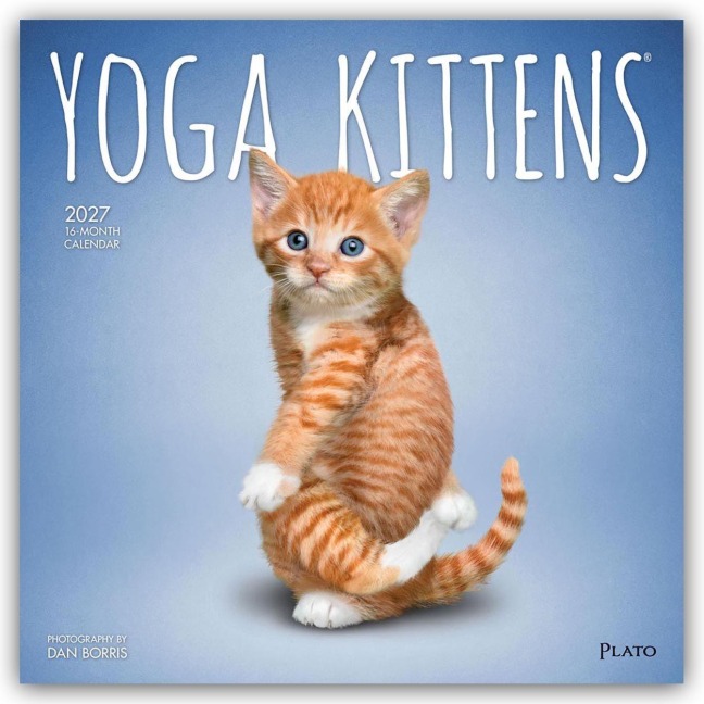 Yoga Kittens - Kätzchen Yoga 2027 - 16-Monatskalender - Browntrout Publishers