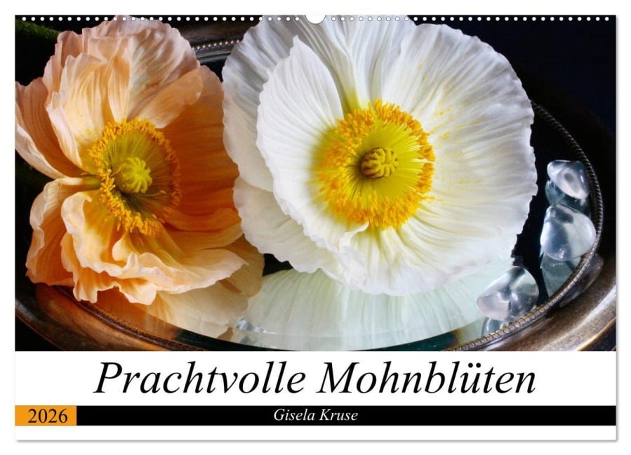 Prachtvolle Mohnblüten (Wandkalender 2026 DIN A2 quer), CALVENDO Monatskalender - Gisela Kruse