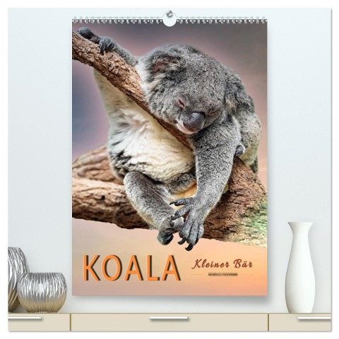 Koala, kleiner Bär (hochwertiger Premium Wandkalender 2024 DIN A2 hoch), Kunstdruck in Hochglanz - Peter Roder
