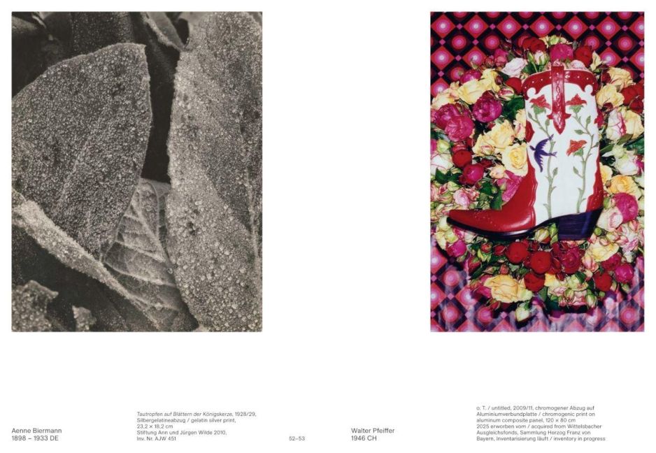 InsideView 12