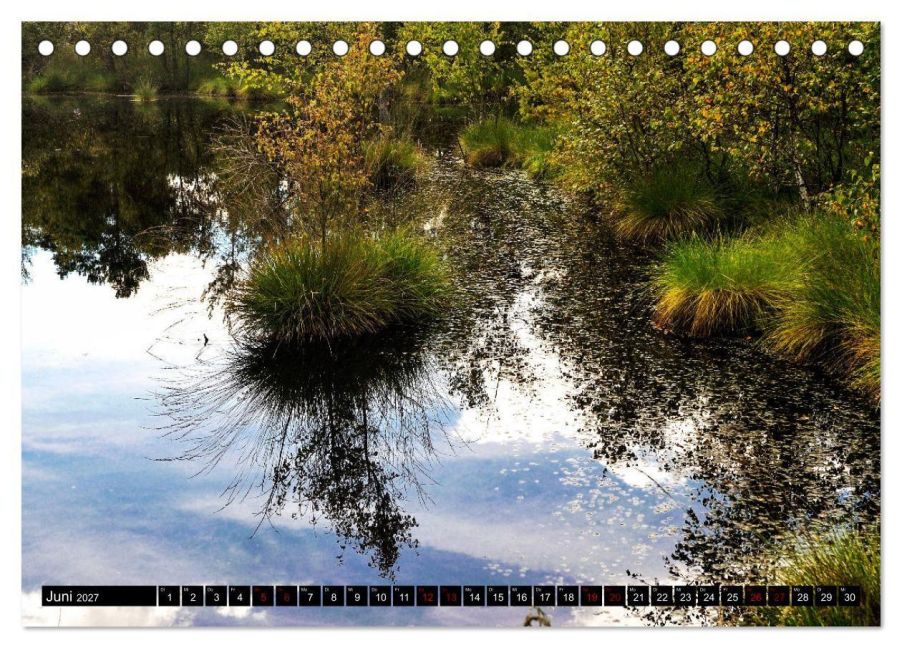 InsideView 11