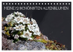 Meine 12 schönsten Alpenblumen (Tischkalender 2025 DIN A5 quer), CALVENDO Monatskalender - Christa Kramer