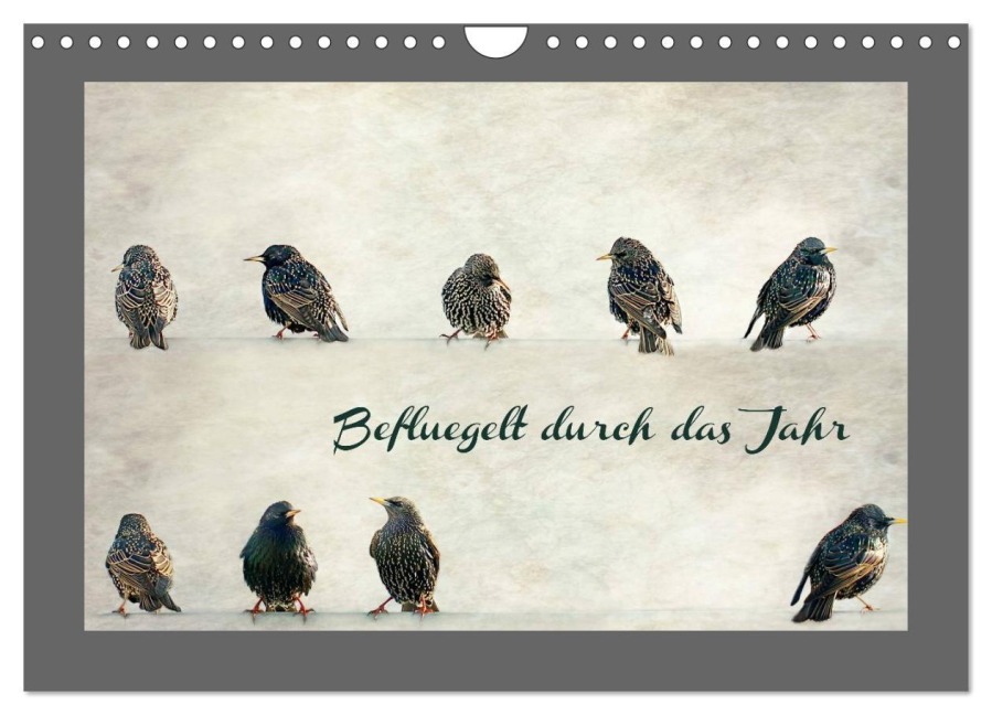 Beflügelt durch das Jahr (Wandkalender 2025 DIN A4 quer), CALVENDO Monatskalender - Heike Hultsch