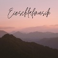 Cover-Bild zum Titel 'Einschlafmusik' von 'Institut für Stressreduktion'