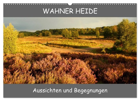 Wahner Heide - Aussichten und Begegnungen (Wandkalender 2024 DIN A2 quer), CALVENDO Monatskalender - Bernd Becker