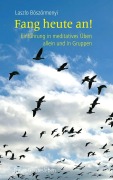 Cover-Bild zum Titel 'Fang heute an!' von 'Laszlo Böszörmenyi'