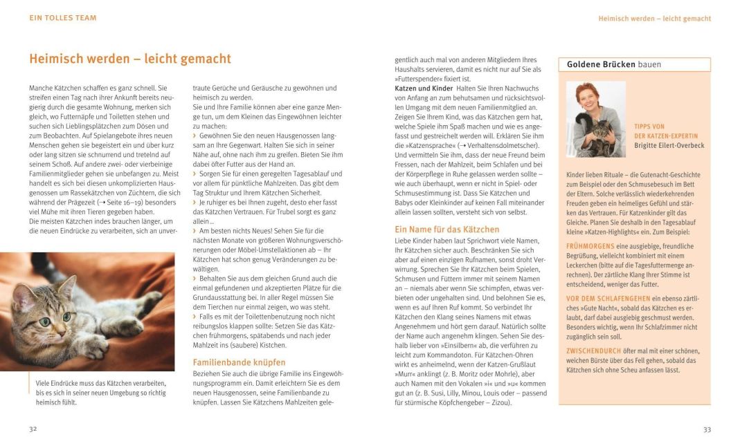 InsideView 5