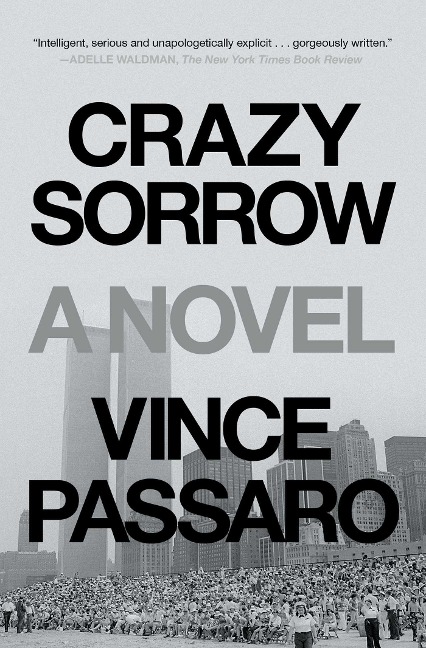 Crazy Sorrow - Vince Passaro