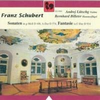 Sonaten Für Violine und Klavier - Andrej Lütschg