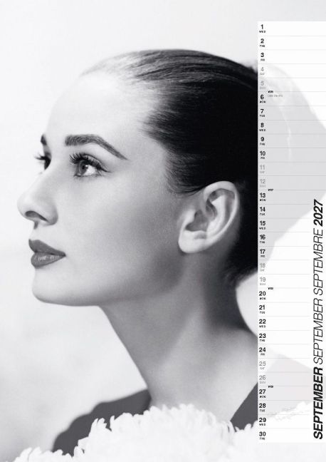 InsideView 4