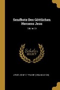 Cover-Bild zum Titel 'Sendbote Des Göttlichen Herzens Jesu; Volume 20' von ''