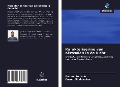 Cover-Bild zum Titel 'Karakterisering van aërosolen in de lucht' von 'Balram Ambade, Basant Shubhankar'
