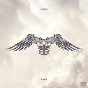 Icarus Falls - Zayn