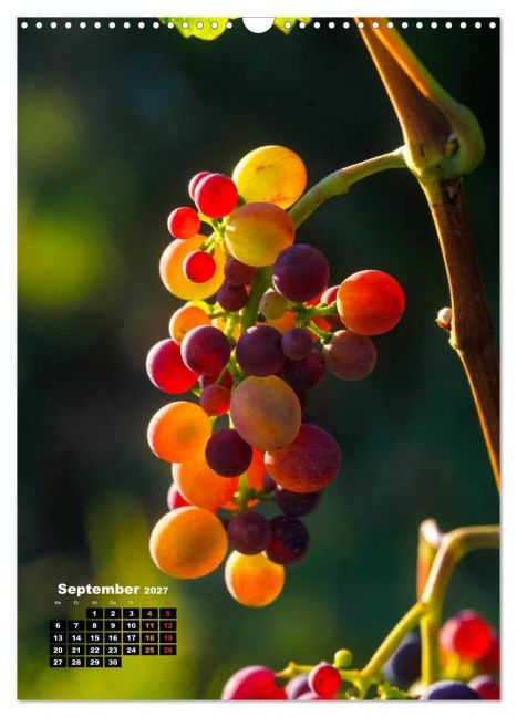 InsideView 14