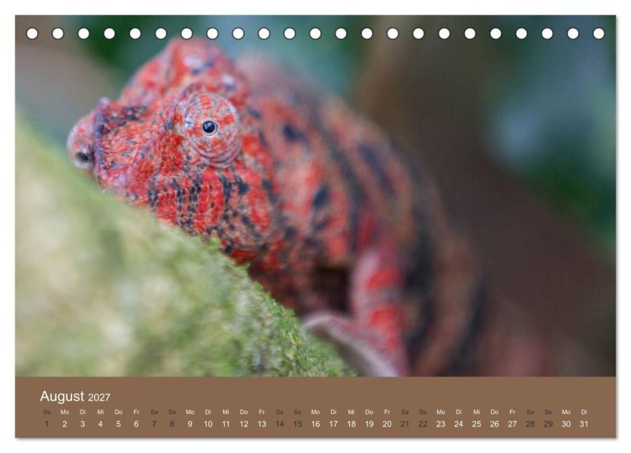 InsideView 13