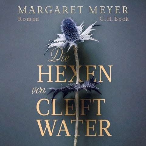 Die Hexen von Cleftwater - Margaret Meyer