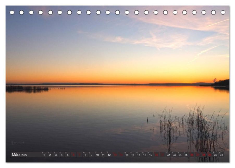 InsideView 8