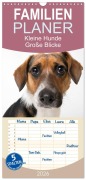 Cover-Bild zum Titel 'Familienplaner 2026 - Kleine Hunde - Große Blicke mit 5 Spalten (Wandkalender, 21 x 45 cm) CALVENDO' von 'Akrema-Photography Akrema-Photography'