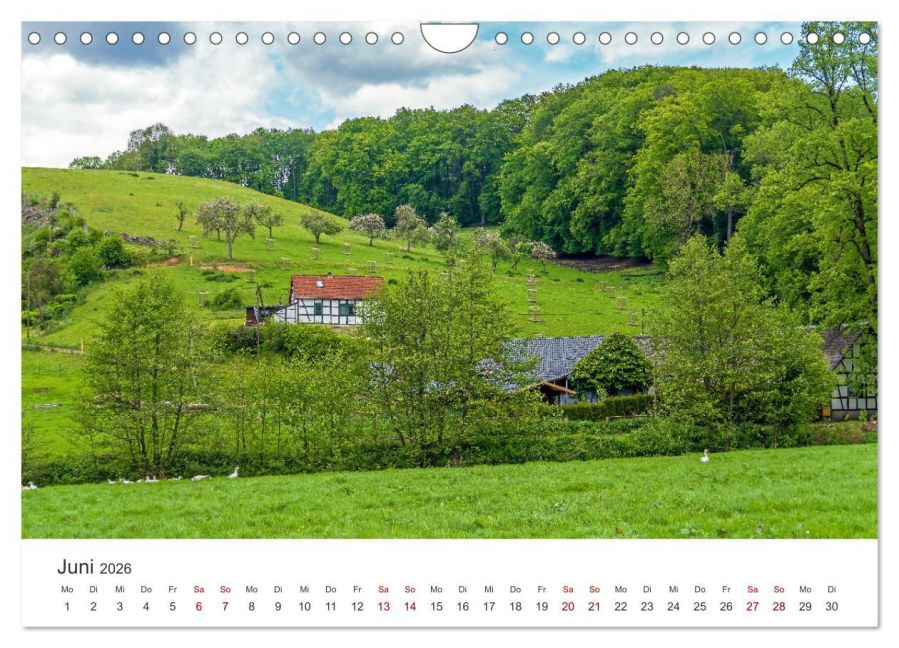 InsideView 11