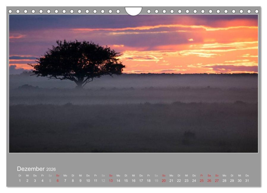 InsideView 4