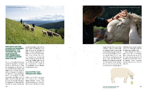 InsideView 8
