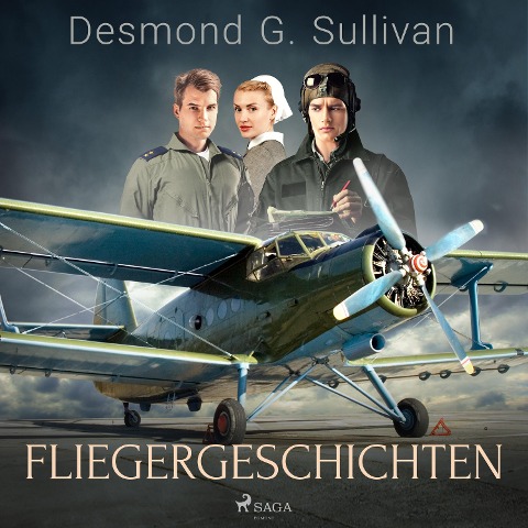 Fliegergeschichten - Desmond G. Sullivan
