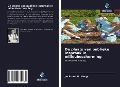 Cover-Bild zum Titel 'De plaats van publieke inspraak in milieubescherming' von 'Jacktone O. Nengo'