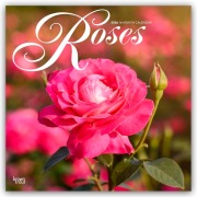 Roses - Rosen 2026 - 16-Monatskalender - Browntrout Publishers