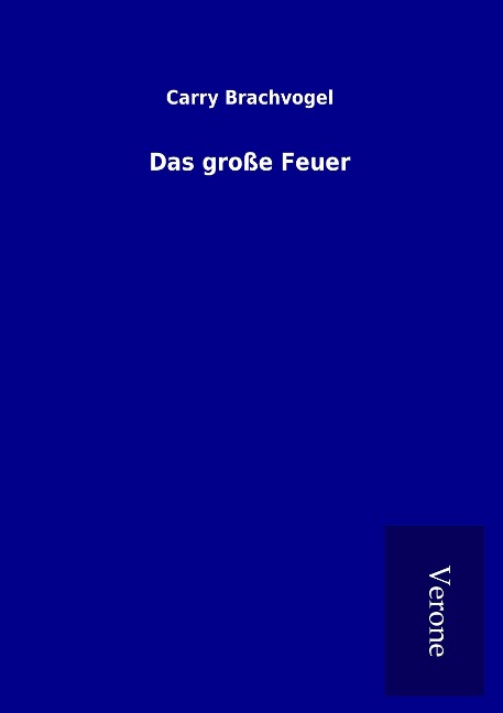 Das große Feuer - Carry Brachvogel