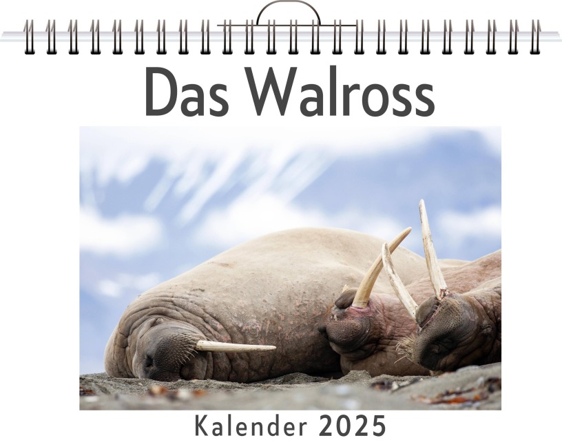 Das Walross - Lina König