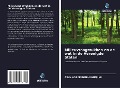 Cover-Bild zum Titel 'Milieuvraagstukken en de wet in de Verenigde Staten' von 'Alida Assemboni-Ogunjimi'