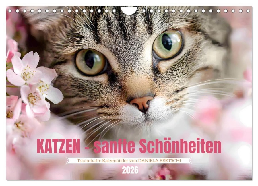 Katzen - sanfte Schönheiten (Wandkalender 2026 DIN A4 quer), CALVENDO Monatskalender - Daniela Bertschi