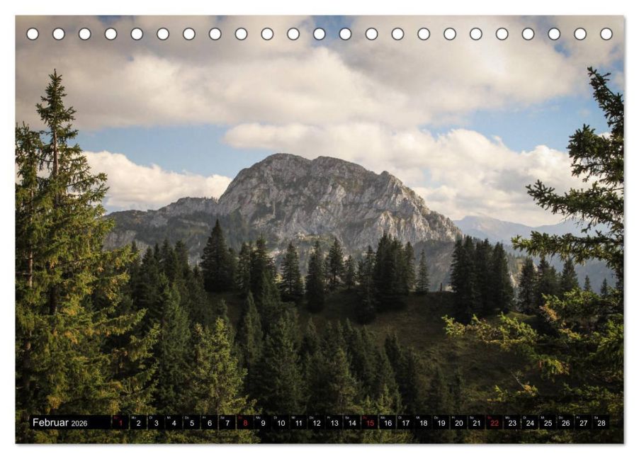 InsideView 7