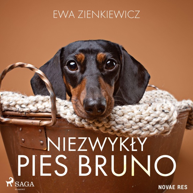 Niezwyk¿y pies Bruno - Ewa Zienkiewicz