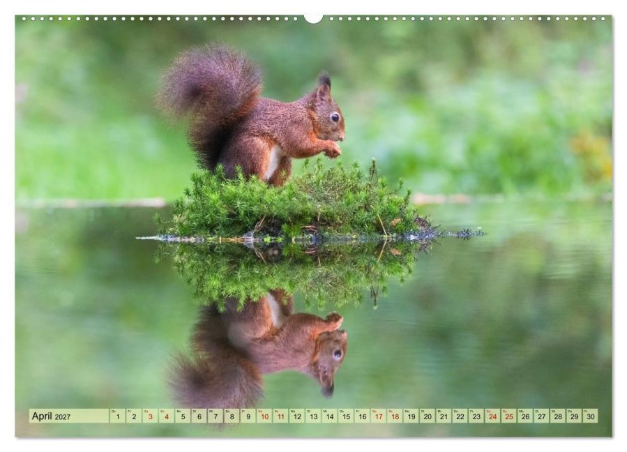 InsideView 9