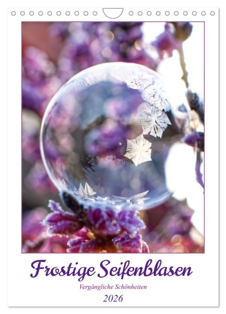 Frostige Seifenblasen (Wandkalender 2026 DIN A4 hoch), CALVENDO Monatskalender - Sabine Löwer