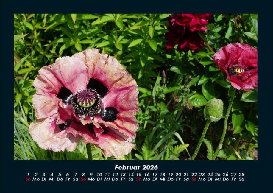 InsideView 6