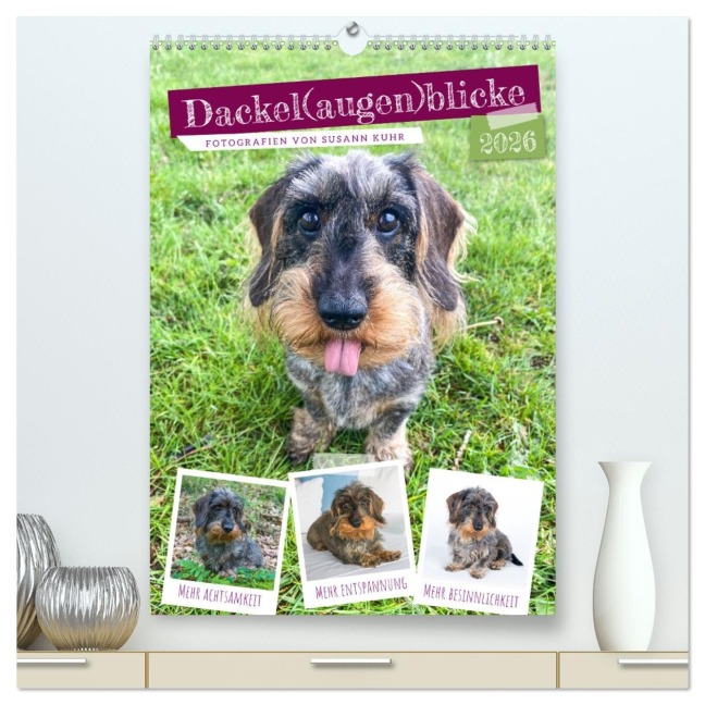 Dackel(augen)blicke (hochwertiger Premium Wandkalender 2026 DIN A2 hoch), Kunstdruck in Hochglanz - Susann Kuhr