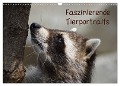 Faszinierende Tierportraits (Wandkalender 2025 DIN A3 quer), CALVENDO Monatskalender - Kattobello Kattobello