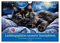 Cover-Bild zum Titel 'Lieblingsplätze unserer Samtpfoten (Wandkalender 2026 DIN A4 quer), CALVENDO Monatskalender' von 'Claudia Kleemann'