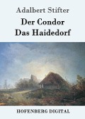 Cover-Bild zum Titel 'Der Condor / Das Haidedorf' von 'Adalbert Stifter'