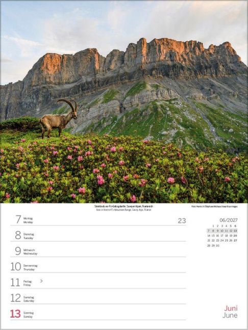 InsideView 8