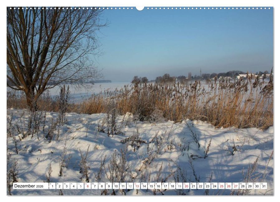 InsideView 4