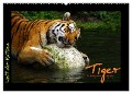 Welt der Katzen - Tiger (Wandkalender 2025 DIN A2 quer), CALVENDO Monatskalender - Marcus Skupin