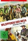 Wildpferde der Mesa - Zane Grey, Lucien Hubbard