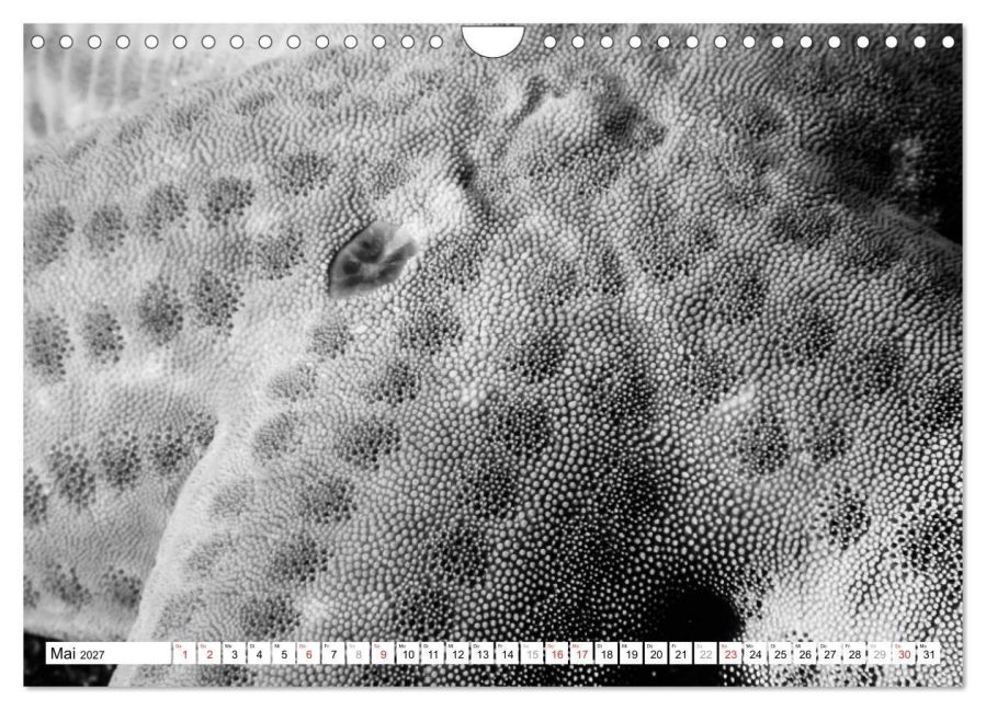InsideView 10