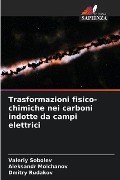 Trasformazioni fisico-chimiche nei carboni indotte da campi elettrici - Valeriy Sobolev, Aleksandr Molchanov, Dmitry Rudakov