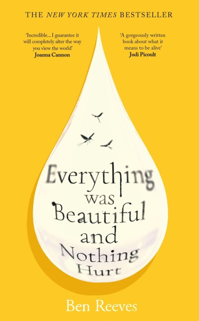 Everything was Beautiful and Nothing Hurt - Ben Reeves